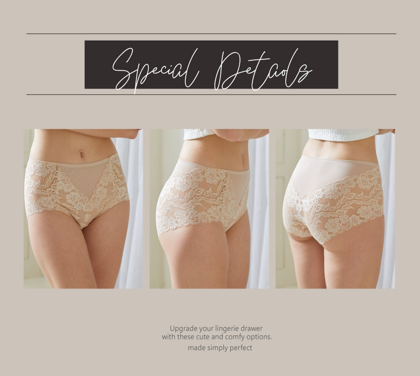 日系精美蕾絲無痕精美內褲 (日本藍) L~XL